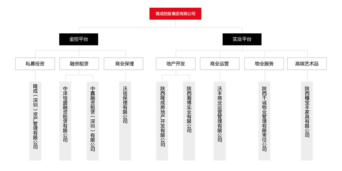 匯高OA系統(tǒng)陜西區(qū)為隆成控股集團(tuán)公司進(jìn)行管理升級(jí)！